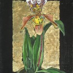 orchid_5
